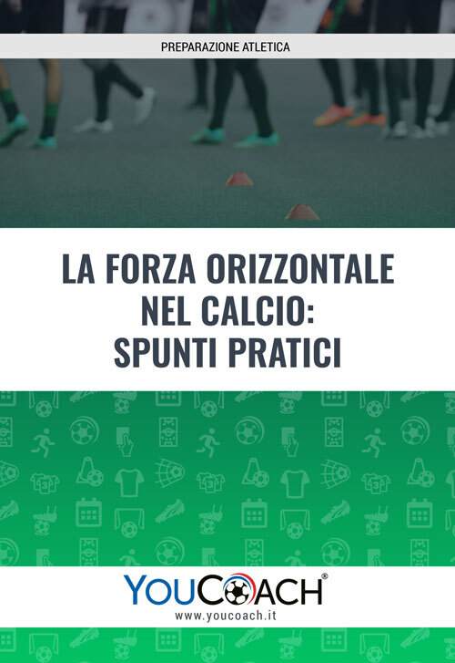 PDF allenamento forza orizzontale Falco PDF allenamento forza orizzontale Falco