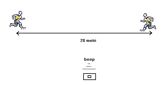 Navetta di leger Navetta di leger