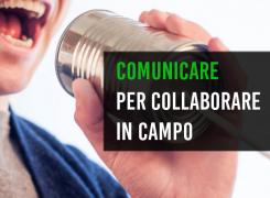 Comunicare telefono parlare